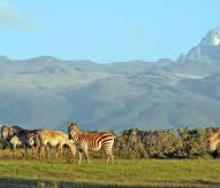 Mount Kenya has the potential to woo more international holidaymakers.