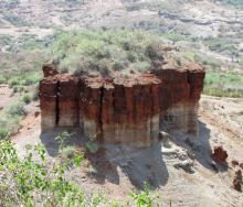 In a bid to attract more international visitors to the museum, the facilities in the hominid sites at Olduvai Gorge are being upgraded.