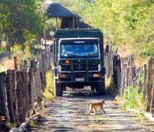 Overlanding into Mozambique opens up an array of experiences one might not experience otherwise.