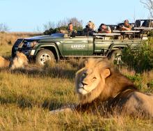 Wildlife experiences were among the top-three activities sought by international visitors to the Eastern Cape in 2016.