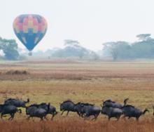 An aerial survey shows an increase in wildlife populations within Kafue National Park.