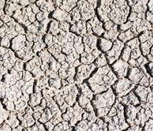 Etosha National Park is a must-do when visiting Namibia, which is home to the famous Etosha Pan. 