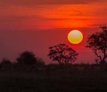 Sir Richard Branson applies for a tourism concession in the Delta