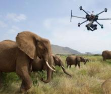 Malawi to use drones in the fight against wildlife crime.