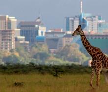 Kenya Bureau of Statistics records an increase in international tourism in 2017.