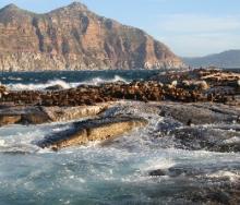 Marine conservation plays an integral part in protecting and growing South Africa’s tourism sector.