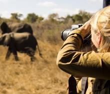 Photographic safaris continue to gain momentum. 