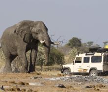 Botswana's Gaborone Game Reserve has closed.