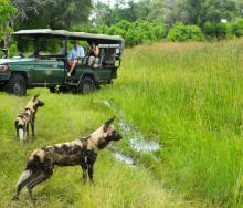 Selinda Camp in Botswana will close in November.