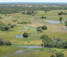 Hundreds of elephants to be moved to Kafue, with an expected boost to tourism.