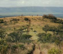 Somkhanda Community Game Reserve in KwaZulu Natal announces its latest community-driven development, the Somkhanda Community Conservation Centre. Credits: Milton Media.