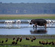  iSimangaliso Wetland Park in KZN upgraded a number of its facilities to enhance visitors’ experience.