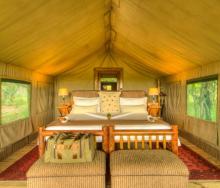 Desert and Delta Safaris to refurbish two properties. 