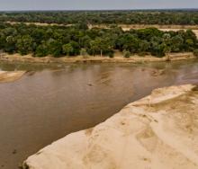 Remote Africa Safaris to open Takwela Camp in North Luangwa National Park later this year.