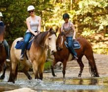 Horse-riding introduced in Matobo National Park.