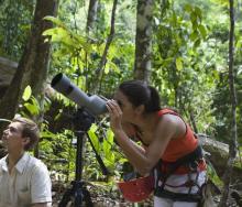 Bird-watching guide training could boost avitourism in Rwanda significantly. 