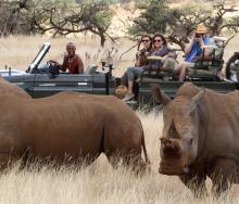 Lewa Wilderness welcomes first electric game viewing vehicle.