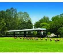 Game running alongside a Rovos train.