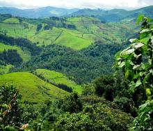 Partnership to reinforce Rwanda’s position as a high-end sustainable tourism destination.