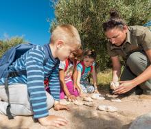 Children are as immersed in their safari experience as the adults.