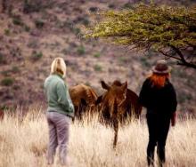 Temporary suspension of walking safaris while Conservancy awaits permits.