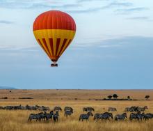 Hot-air balloon floating over the Maasai Mara