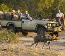 A safari vehicle at Tintswalo Safari Lodge