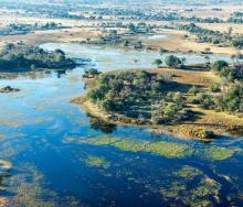 The Okavango Delta, where tourist guide Dutch Bihelang Kasale grew up and now guides.